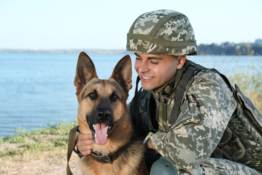 Psychiatric Service Dogs Tasks For Those Suffering From PTSD psychiatric-service-dogs-tasks-for-those-suffering-from-ptsd
