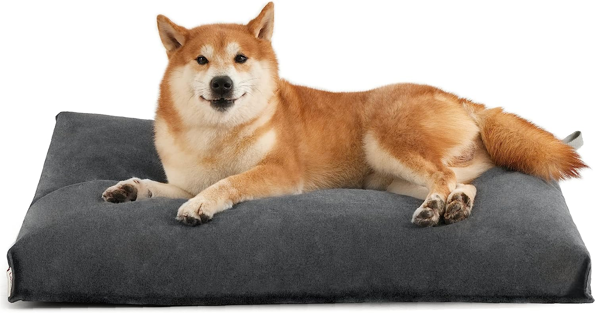 Cozy Pillow Dog Beds for Restful Sleep