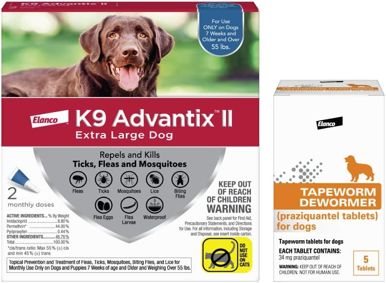 Protect Your Dog through Heartworm Prevention & Dewormers