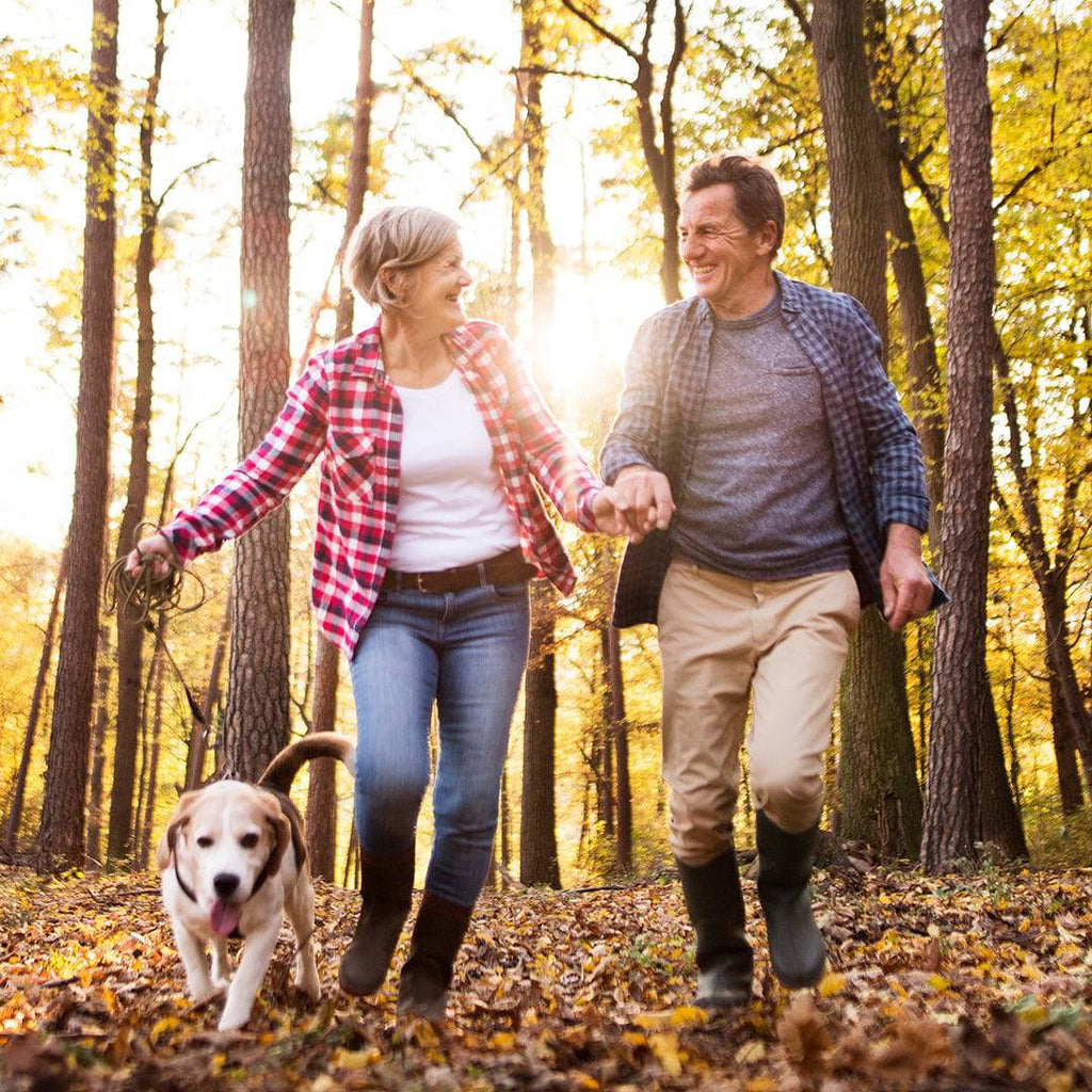 Therapist-Certified Program for Emotional Support Animals - Felicitails is founded by Lindsay Giguiere