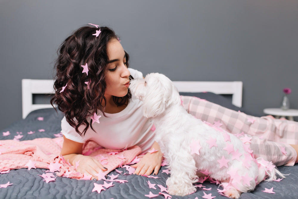 felicitails blog, living with a dog,young girl and small white dog on bed kissing, felicitails, founded by Lindsay Giguiere