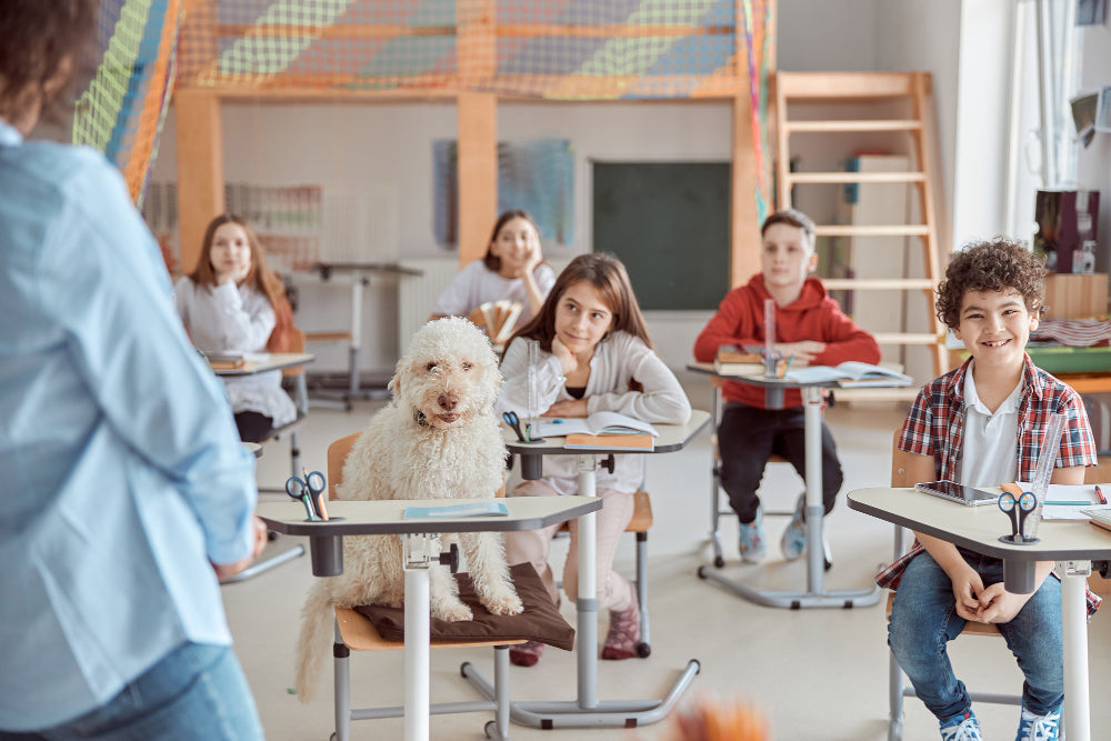 service dog school visit