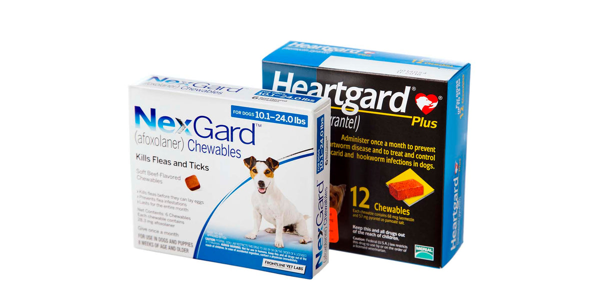 FDA Warning about Flea and Tick Medications from Felicitails