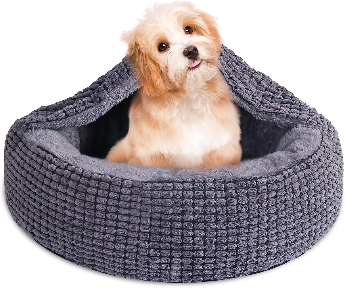 Cozy Covered Dog Beds for Maximum Privacy