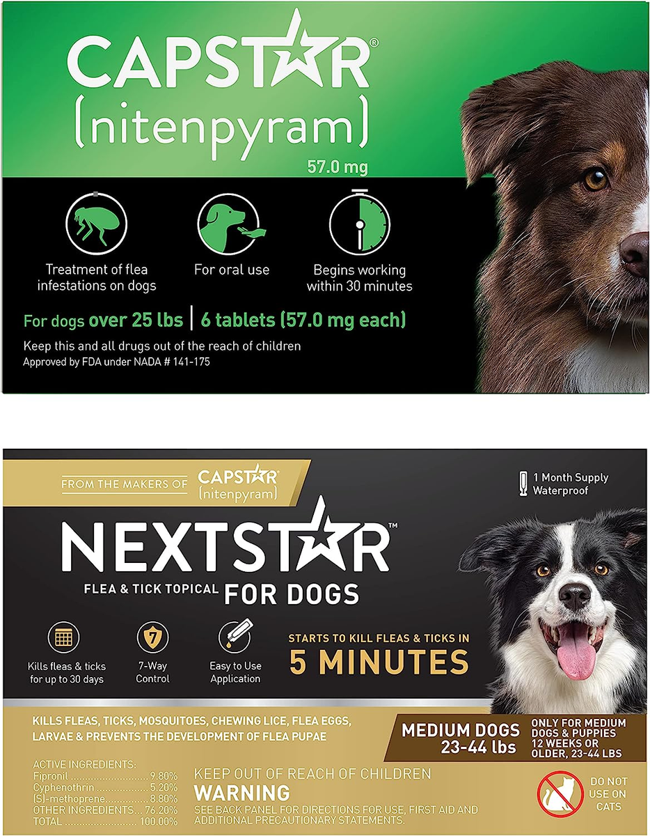 Effective Pills and Chewables for Flea & Tick Control