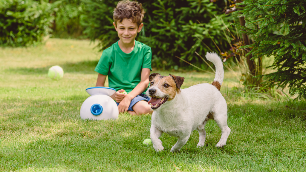 Shop For The Well Loved Dog Through Felicitails shop-for-the-well-loved-dog-through-felicitails