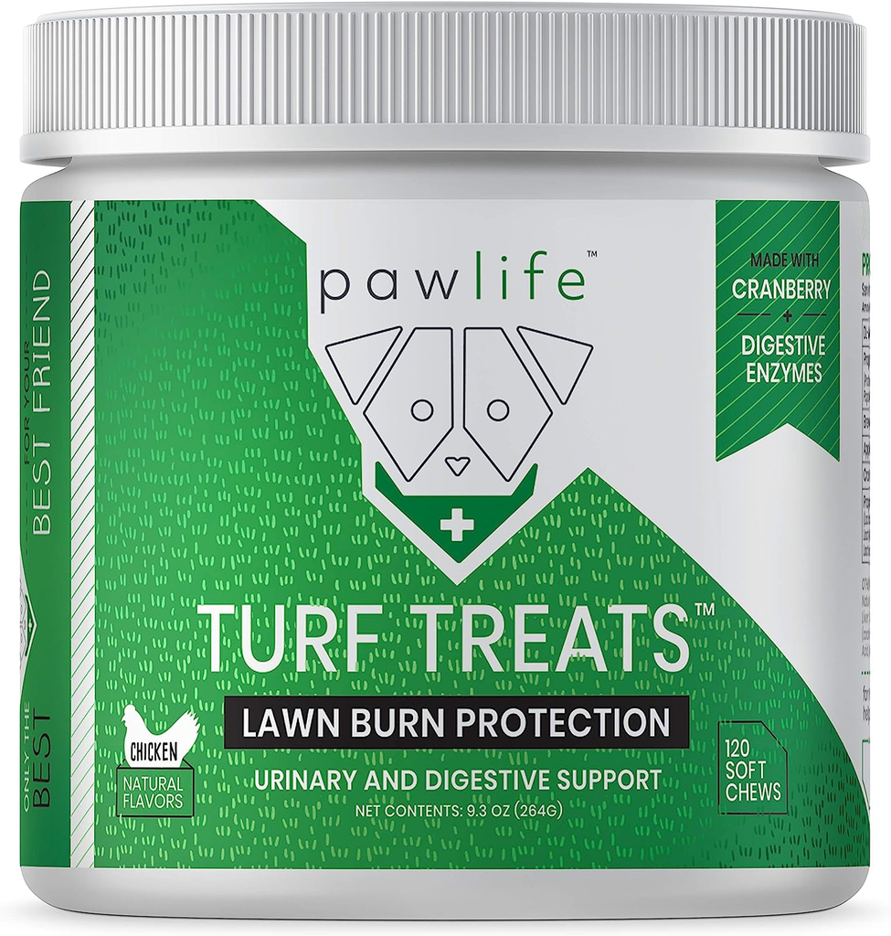 Maintain a Beautiful Yard with Dog-Friendly Lawn & Grass Care