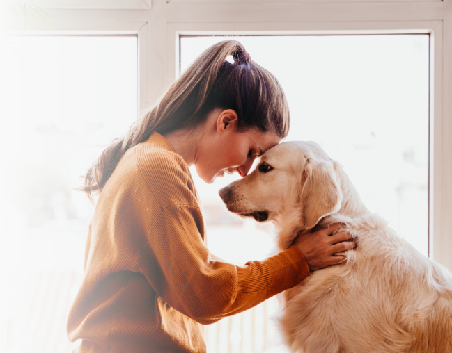 lindsay giguiere, felicitails email and text alerts, emotional support  dog, connected to her owner