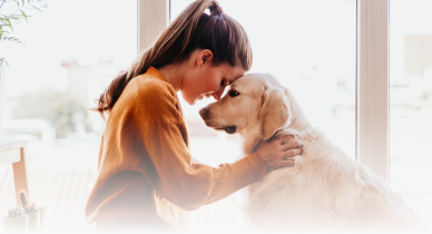 lindsay giguiere, felicitails email and text alerts, emotional support  dog, connected to her owner