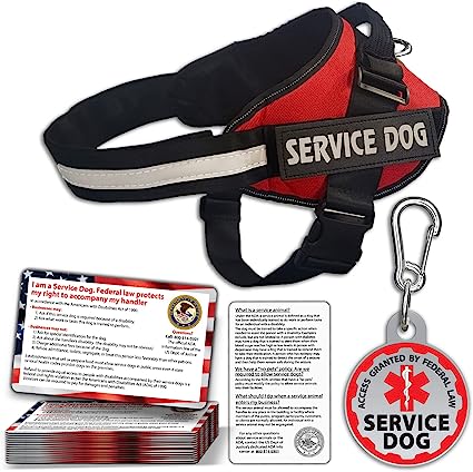 Psychiatric Service Animal Dog (PSD) Vest - Felicitails is founded by Lindsay Giguiere