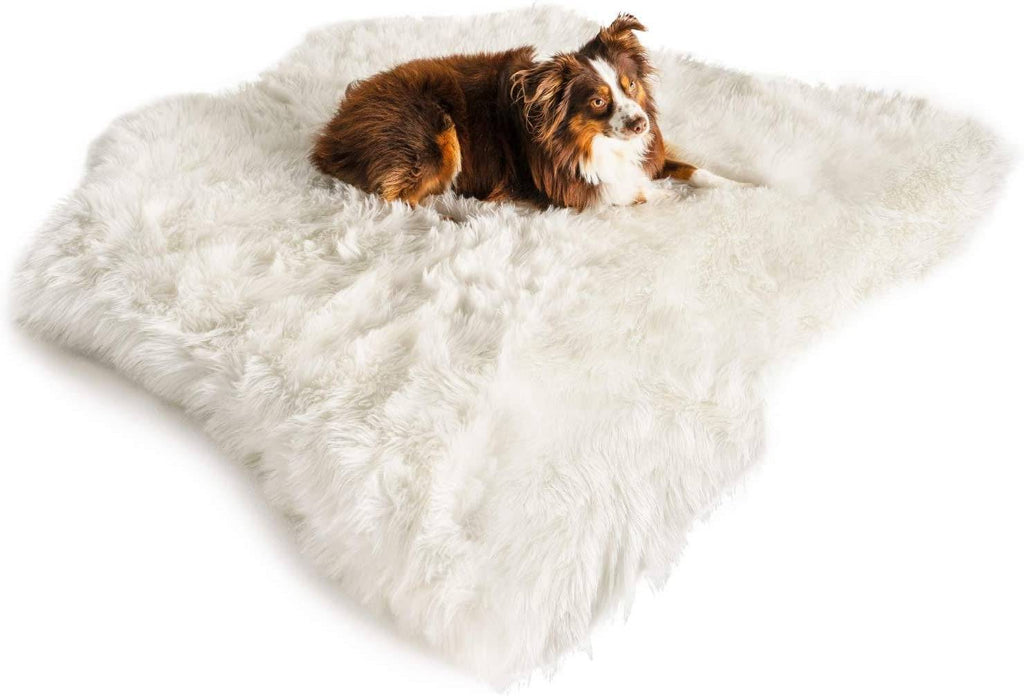 Puprug Faux Animal Print Memory Foam Orthopedic Dog Bed with Ultra-Soft Faux Fur Cover - Felicitails is founded by Lindsay Giguiere