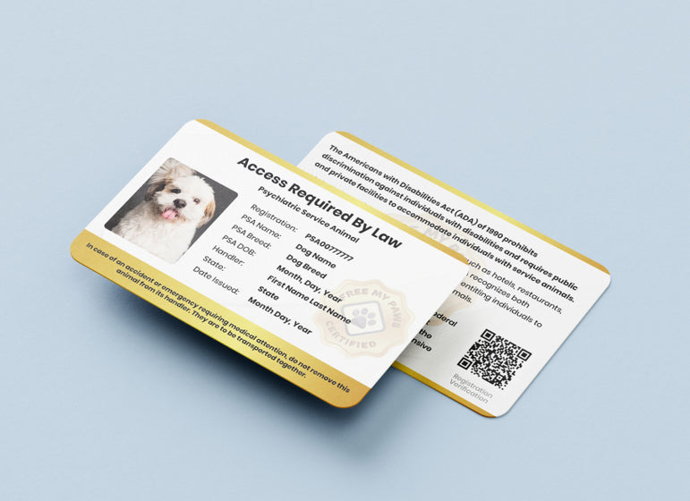 lindsay giguiere, psychiatric service animal certification, therapist certified travel letter, therapist certified travel letter, personal therapy plan via telehealth, felicitails and free my paws founded by lindsay giguiere 